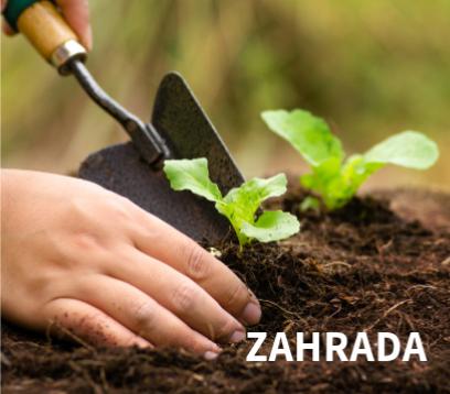 zahrada